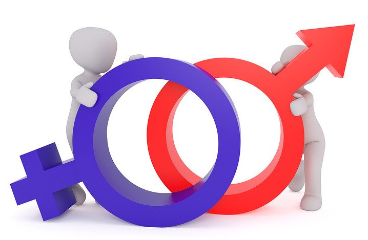 Deux personnages, homme et femme stylisés, portent les symboles "féminin" et "masculin".