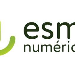 Logo ESMS Numérique